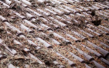 Penrhiw Llan roof cleaning companies